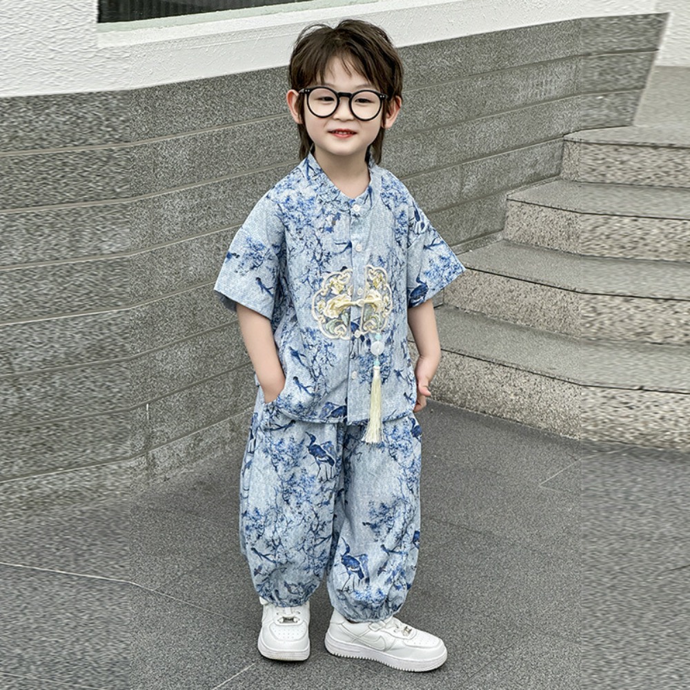 Boys Sets Cosplay Performance  - Kids Ethnic Fashion recension och pris
